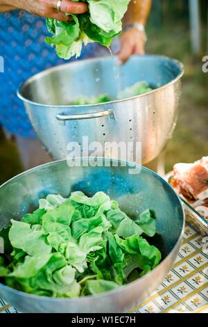 Vorbereitung Kopfsalat in Edelstahl, Waschen vor der Verwendung Stockfoto