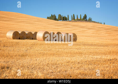 Schöne typische Landschaft des Val d'Orcia in der Toskana mit Strohballen auf einem Feld im Sommer, Val d'Orcia, Toskana, Italien Stockfoto