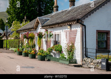 Eine schöne traditionelle britische whitewash Cottage mit Blumen und blumenampeln an einem sonnigen Tag eingerichtet Stockfoto