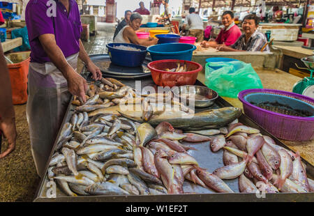 Fisch in der Campbell Street Market in George Town ausgeht, UNESCO-Weltkulturerbe, Penang, Malaysia, Südostasien, Asien Stockfoto