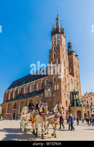 Die Basilika St. Maria auf dem Hauptplatz in der mittelalterlichen Altstadt von Krakau, UNESCO-Weltkulturerbe, in Krakau, Polen, Europa Stockfoto