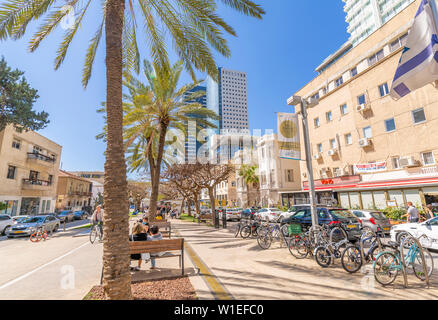 Blick auf Palmen und Gehweg auf dem Rothschild Boulevard, Tel Aviv, Israel, Naher Osten Stockfoto