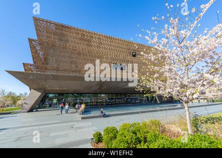 Das Nationalmuseum für Afrikanische Amerikanische Geschichte und Kultur im Frühjahr, Washington D.C., Vereinigte Staaten von Amerika, Nordamerika Stockfoto