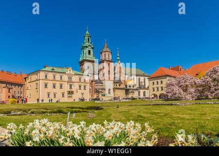 Blick auf Kathedrale auf dem Wawel mit Königsschloss Wawel, UNESCO-Weltkulturerbe, in die mittelalterliche Altstadt, in Krakau, Polen, Europa Stockfoto