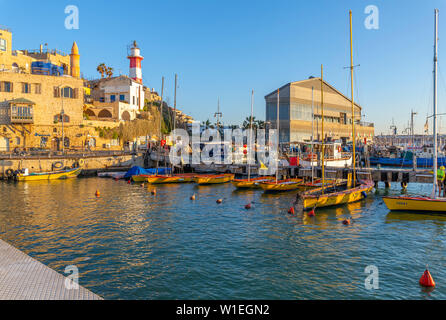 Blick auf die Altstadt von Jaffa Hafen bei Sonnenuntergang, Tel Aviv, Israel, Naher Osten Stockfoto