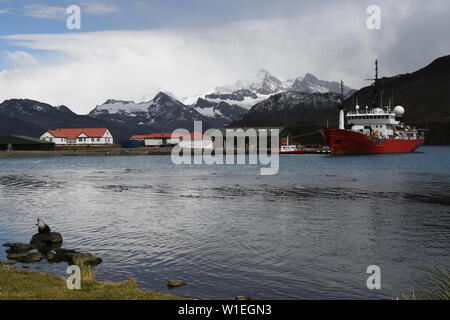 King Edward Point Research station mit Fischerei Patrouillenboot Pharos neben am Jetty, Südgeorgien, Polargebiete Stockfoto