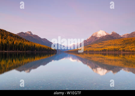 Bowman Lake, Glacier National Park, Montana, Vereinigte Staaten von Amerika, Nordamerika Stockfoto