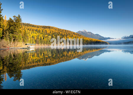 Bowman Lake, Glacier National Park, Montana, Vereinigte Staaten von Amerika, Nordamerika Stockfoto