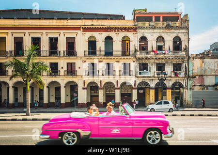 Ein rosa American Classic Auto neben El Capitolio in Havanna, La Habana (Havanna), Kuba, Karibik, Karibik, Zentral- und Lateinamerika Stockfoto