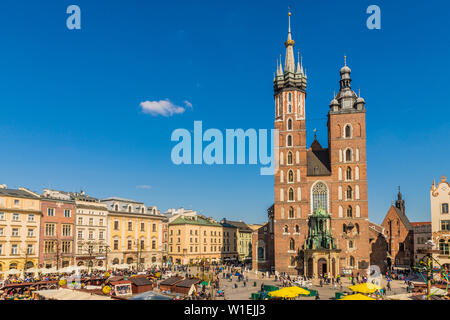 Die Basilika St. Maria auf dem Hauptplatz in der mittelalterlichen Altstadt von Krakau, Weltkulturerbe der UNESCO, Krakau, Polen, Europa Stockfoto