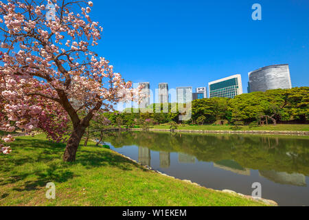 Moderne Wolkenkratzer von Shiodome in Shimbashi Bezirk in Hamarikyu (Hama Rikyu) Gärten See spiegeln, Chuo Bezirk, Sumida River, Tokio, Japan, Asien Stockfoto