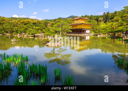 Kinkaku-ji (Goldener Pavillon) (Rokuon-ji), Zen-buddhistische Tempel, in den See, umgeben von einem schönen Park, UNESCO, Kyoto, Japan, Asien wider Stockfoto