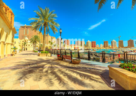 Palmen entlang Luxus marina Corniche Promenade Promenade in Porto Arabien am Pearl-Qatar, Persischer Golf, Doha, Qatar Stockfoto