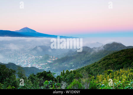 Pico del Teide, 3718 m, dem höchsten Berg Spaniens, den Teide Nationalpark, UNESCO-Weltkulturerbe, Teneriffa, Kanarische Inseln, Spanien, Atlantik, Europa Stockfoto