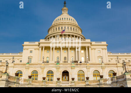 Blick auf das Capitol Gebäude während der Goldenen Stunde, Washington D.C., Vereinigte Staaten von Amerika, Nordamerika Stockfoto