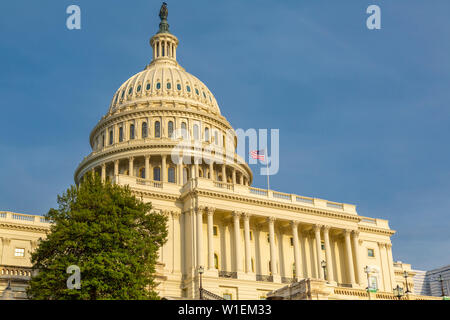 Blick auf das Capitol Gebäude während der Goldenen Stunde, Washington D.C., Vereinigte Staaten von Amerika, Nordamerika Stockfoto