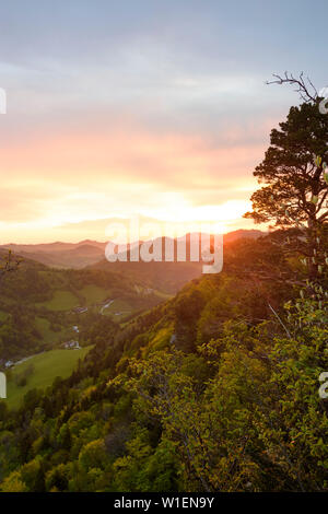 Frankenfels: Blick vom Gipfel Falkenstein Fluss Pielachtal, Bauernhöfe, Wiesen im Mostviertel, Niederösterreich, Lower Austria, Austria Stockfoto