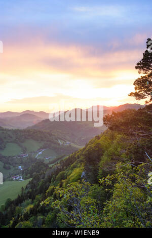 Frankenfels: Blick vom Gipfel Falkenstein Fluss Pielachtal, Bauernhöfe, Wiesen im Mostviertel, Niederösterreich, Lower Austria, Austria Stockfoto