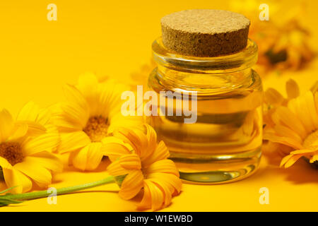 Ringelblume Produkte. Ätherisches Öl. Kleine Flasche Calendulaöl (Ringelblumen Extrakt, Tinktur, Infusion). Aromatherapie ätherisches Öl mit frischen m Stockfoto