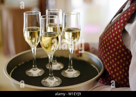Willkommen toast Getränke von weiblichen Kellner mit Tablett mit vier Flöten mit Champagner angeboten, ein spritziger Weißwein oder Sekt in einem Restaurant oder Veranstaltung Stockfoto