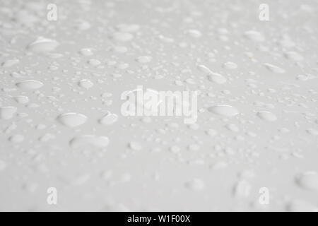 Wassertropfen auf weißem Hintergrund Tropfen Regen am Auto Stockfoto