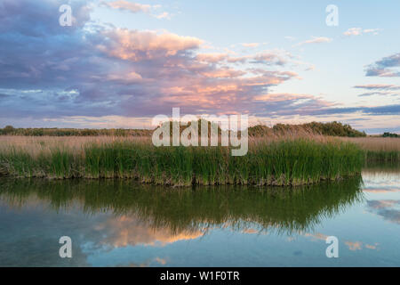 Bunt See bei Sonnenuntergang in Tablas de Daimiel Nationalpark. Ciudad Real. Spanien. Stockfoto