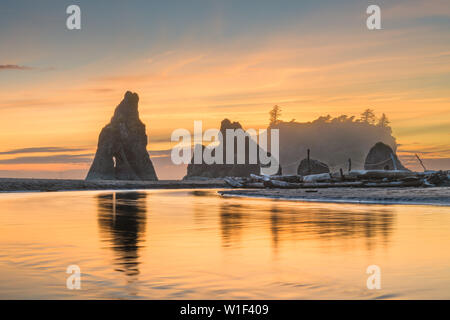 Olympic National Park, Washington, USA im Ruby Beach. Stockfoto