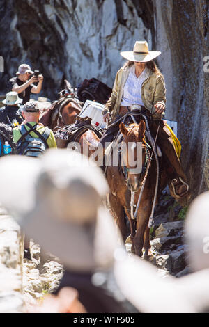 Touristenfrau, die im Sommer mit klarem blauen Himmel auf dem John Muir Trail auf einem Pferd reitet, Yosemite National Park, Kalifornien, USA Stockfoto