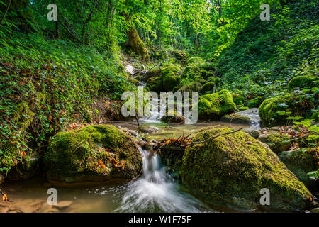 Wunderschöne Schlucht mit kleinem Wasserfall tief im Wald in der Nähe von Annecy, Frankreich Stockfoto