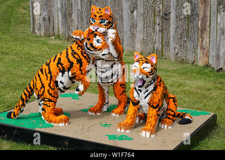 LEGO Tiger und Cheater auf Twycross Zoo übernommen. Stockfoto