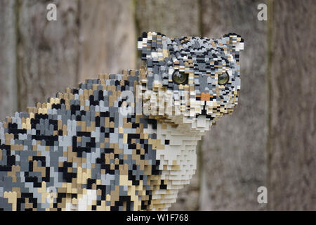 LEGO Tiger und Cheater auf Twycross Zoo übernommen. Stockfoto