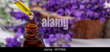 Lavendel ätherisches Öl tropft vom Tropfenzähler über die Flasche. Kopieren Sie Platz Stockfoto