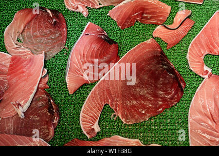 Rohen Thunfisch Fleisch Filets oder Schichten Anzeige in Tsukiji Fischmarkt, Tokio, Japan. Berühmten touristischen Attraktion Verkauf von rohem Fisch in den Morgen. Stockfoto