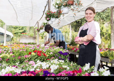 Junge erfahrene Mitarbeiterin im Garten arbeiten im Gewächshaus, Kontrolle der Blumen Stockfoto