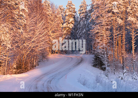 Verschneiten und eisigen Straße windet sich durch Winter wald landschaft Stockfoto