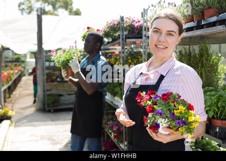 Junge erfahrene Mitarbeiterin im Garten arbeiten im Gewächshaus, Kontrolle der Blumen Stockfoto