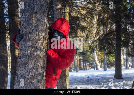 Maniac von hinter einem Baum beobachtet die Opfer Stockfoto