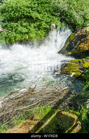 Wildwasser bricht am Tumwater in Tumwater, Washington fällt. Stockfoto