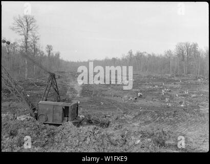 Jerome Relocation Center, Dermott, Arkansas. Ansicht der Vorfahrt unmittelbar vor excavatio. . .; Umfang und Inhalt: Der vollständige Titel für dieses Foto liest: Jerome Relocation Center, Dermott, Arkansas. Ansicht der Vorfahrt unmittelbar vor Grabungsarbeiten, bereit für draglines. Stockfoto