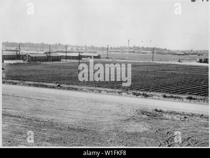 Jerome Relocation Center, Dermott, Arkansas. Radieschen und Senf in der brag Patch gleich nachdem ich. . .; Umfang und Inhalt: Der vollständige Titel für dieses Foto liest: Jerome Relocation Center, Dermott, Arkansas. Radieschen und Senf in der brag Patch direkt nach Bewässerung begonnen wurde. Stockfoto