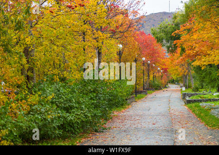 Allee im Park von Lenin Street. Blätter im Herbst Farben. Mishennaya Berg im Hintergrund. Petropawlowsk-kamtschatski, Russland. Stockfoto