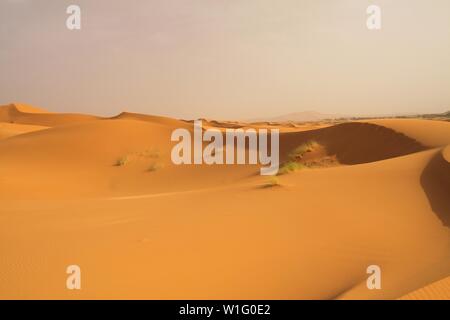 Einsam isoliert Sanddünen in der Wüste Sahara in der Nähe von Erg Chebbi, Marokko Stockfoto