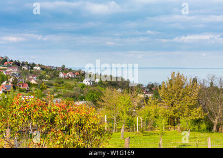 Schöne ungarische Landschaft am Plattensee, Ungarn Stockfoto