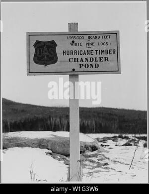 Landaff, Grafton County, New Hampshire. Nach dem Hurrikan von Sept. 1938, die Regierung gekauft. . .; Umfang und Inhalt: Die Bildunterschrift lautet wie folgt: Landaff, Grafton County, New Hampshire. Nach dem Hurrikan von Sept. 1938, die Regierung gekauft, was handelsüblicher Holz die Bauern waren aus ihrem Wald zu schleppen. Da eine große Anzahl von Bäumen waren unten ausgeblasen, und weil Arbeit nicht verfügbar war, viele Tausende von guten Logs wurden Links, wo Sie fielen. Krämer, der Teich, die lange Zeit nicht genutzt worden war wurde überschwemmt, und weiß Kiefer im Wasser bis zum Sommer 19. Stockfoto