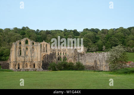 Rievaulx Abtei, North Yorkshire Stockfoto