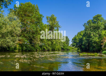 Von Bäumen gesäumten Fluss Creuse, Indre-et-Loire, Frankreich. Stockfoto