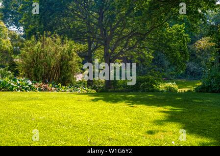 Beth Chatto Garten, Elmstead, Colchester, Suffolk, Großbritannien Stockfoto