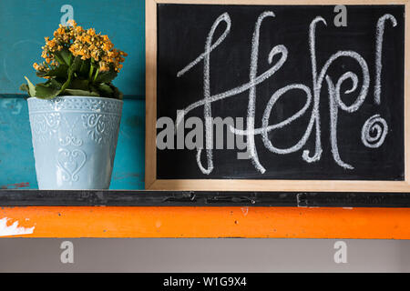 Kreative Bild von gelben Blumen im Topf mit blauen Hintergrund Mit bebilderter Beratung zur Pflege der Pflanzen mit Kreide auf einer Tafel. Stockfoto