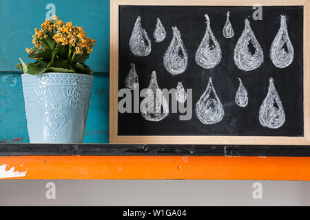 Kreative Bild von gelben Blumen im Topf mit blauen Hintergrund Mit bebilderter Beratung zur Pflege der Pflanzen mit Kreide auf einer Tafel. Stockfoto