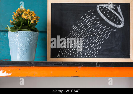 Kreative Bild von gelben Blumen im Topf mit blauen Hintergrund Mit bebilderter Beratung zur Pflege der Pflanzen mit Kreide auf einer Tafel. Stockfoto